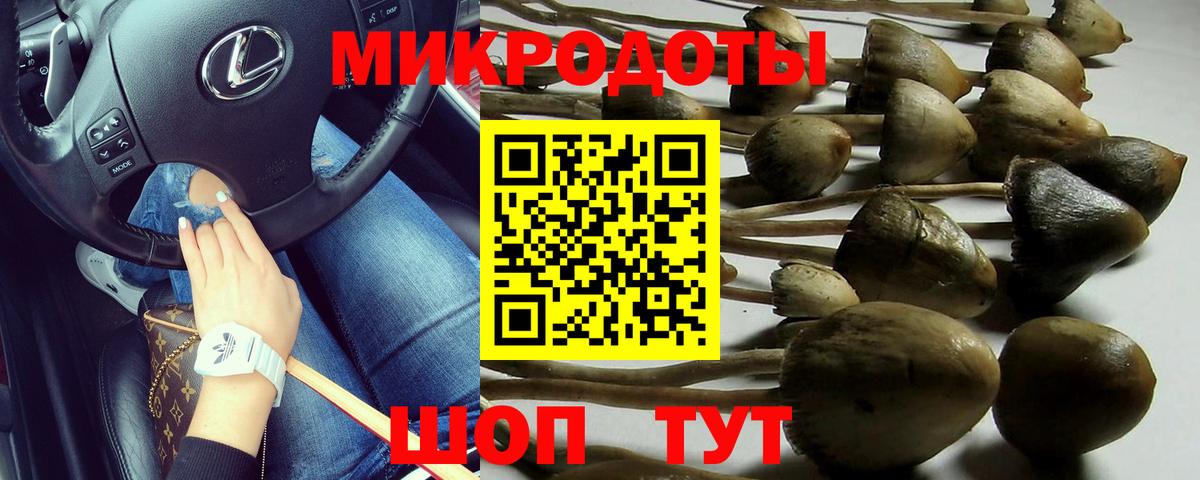 Советск  Галлюциногенные грибы Psilocybe  Вход с VPN 